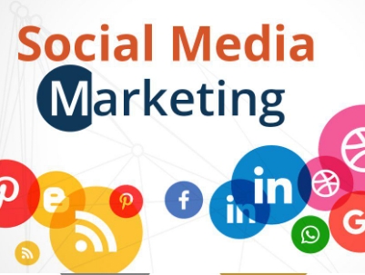 Best Digital Marketing Training in Trivandrum 